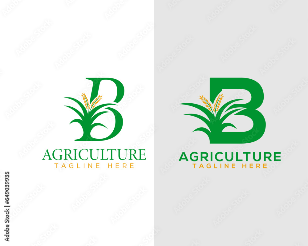 Letter B eco friendly wheat and wheat plants logo symbol.  Simple and flat letter B logo with leaf and plant element modern natural agricultural company logo design.