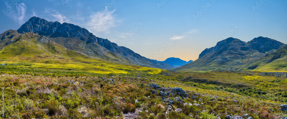 Fototapeta premium Panorama shot of Kogelberg Nature Reserve valley and Hottentots-Holland Mountain during spring, Western Cape, South Africa