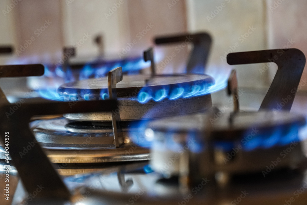 Blue gas flames burning on a gas hob burner, kitchen gas cooker Blue gas flames burning on a gas hob burner, kitchen gas cooker