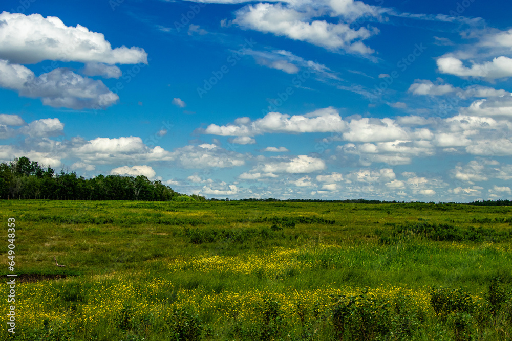 Road side Elk Island National Park Alberta Canada