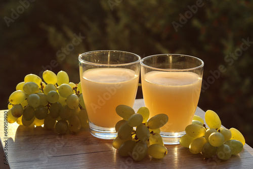 Federweisser, burčák - alcoholic beverage commonly produced in Europe, it is a partially fermented must from the fruit of the grapevine, an intermediate product in the production of wine. photo