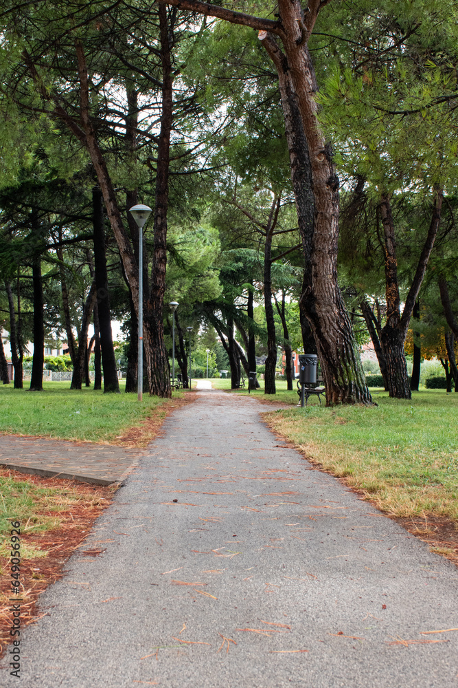 Path in the park in Umag, Croatia in summertime. A lot of trees and a steel bench.