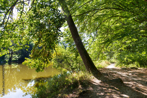 Romantic sun Nature with old big Trees about River Sazava in Central Czech photo