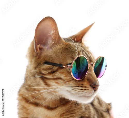 Cute Bengal cat in sunglasses on white background, closeup