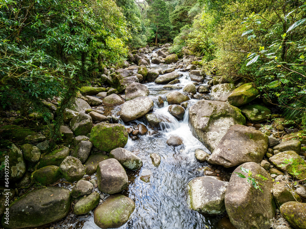 Forest mountain river flowing over boulders and rocks. Wairere falls track, highest waterfall in North Island, New Zealand. Kaimai Mamaku Conservation Park. Forest mountain river flowing over boulders and rocks. Wairere falls track, highest waterfall in North Island, New Zealand. Kaimai Mamaku Conservation Park.