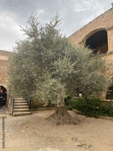 arkadi photo