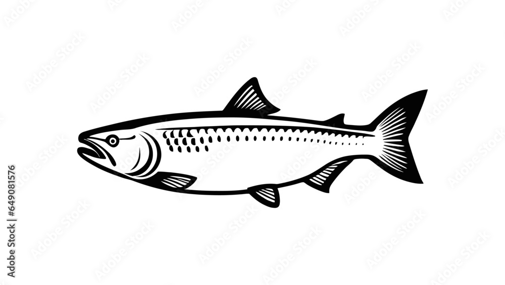 fish salmon with good quality and good design