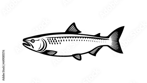 fish salmon with good quality and good design
