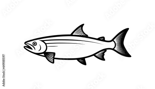 fish salmon with good quality and good design