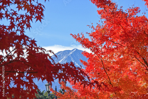 紅葉と富士山