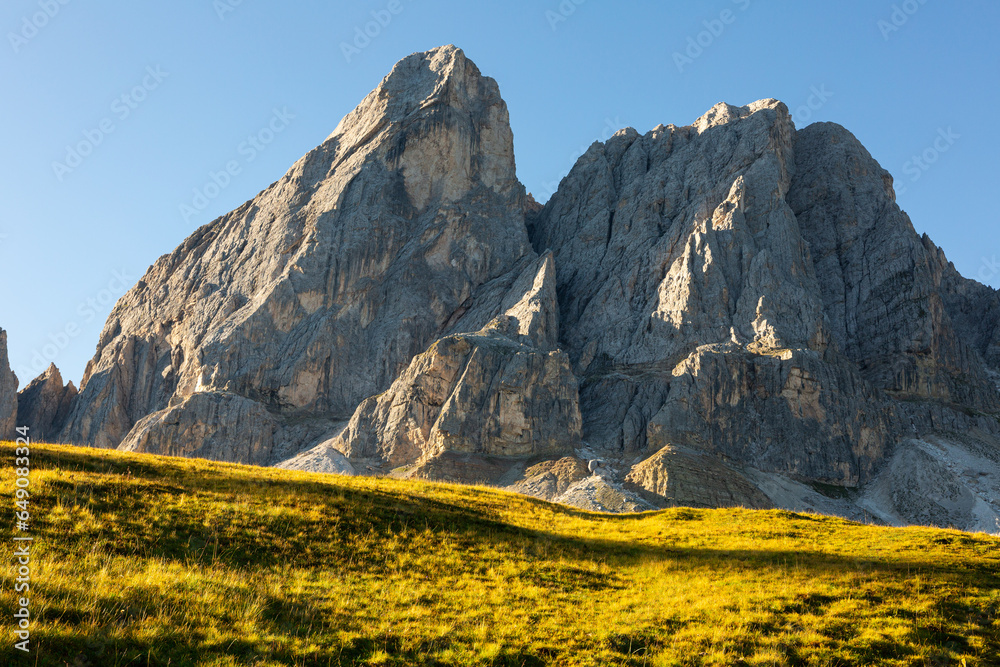 Sunny summer day at foot of mountain, in hilly area overgrown with lush grasses and perennial trees, Mont-de-Fornel, Dolomites