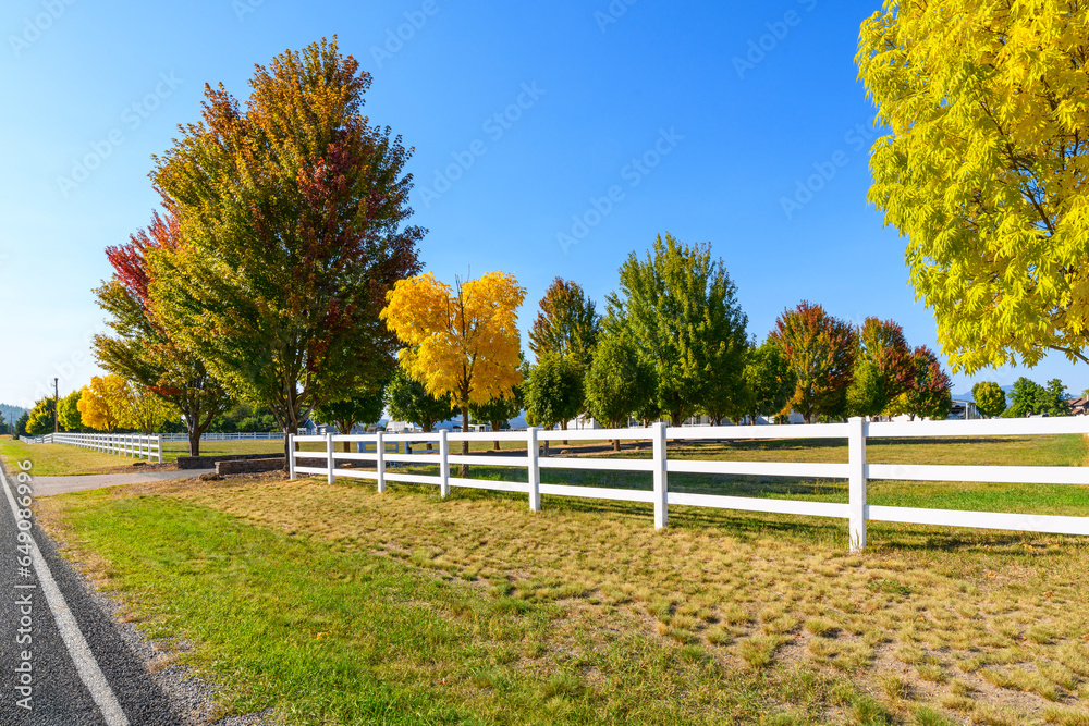 Late summer view as trees turn to Autumn fall colors at a ranch homesite with a white picket fence along a rural road in the Spokane Washington area.