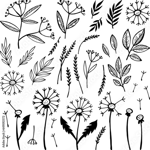 Set of doodle sketch flowers, twigs and leaves on white background. Vector freehand illustration. Botanical elements collection. Dandelions, spikes, other plants.
