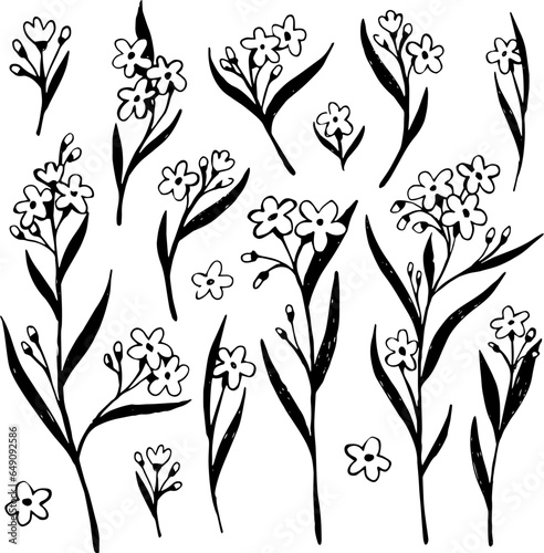 Forget me not flowers set. Freehand sketch vector illustration. Hand drawn doodle style. Flowers, plants, leaves, herbs.