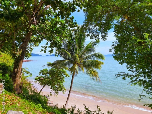 High-angle shot looking down on the beach, sea and coconut trees. © audizaza