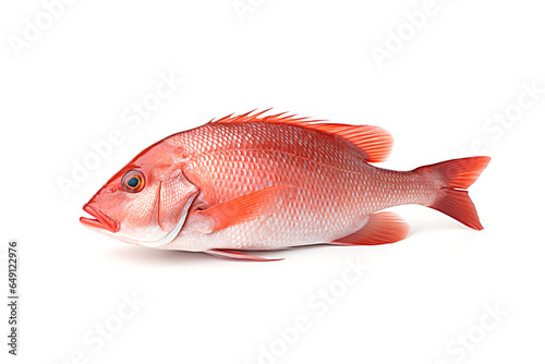 Image of red snapper on a white background. Animals. Illustration, Generative AI.