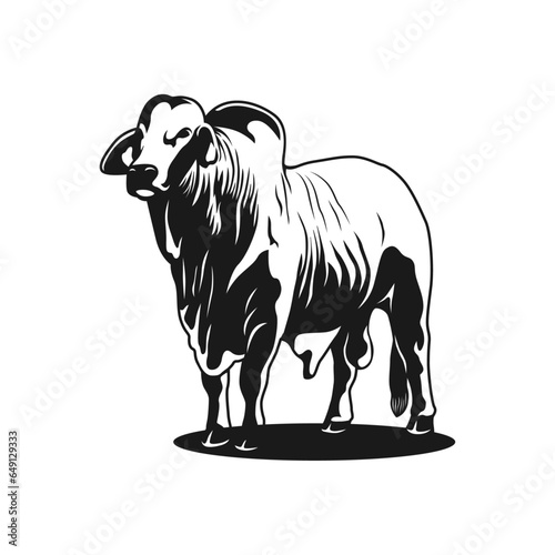 brahman cow logo, vector image illustration photo