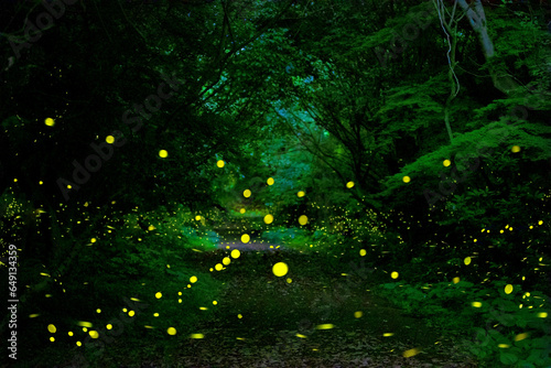 대한민국 제주도의 유명한 관광 명소인 곶자왈 숲속에서 반딧불이 들이 아름다운 빛으로 멋진 풍경을 만들고 있다.