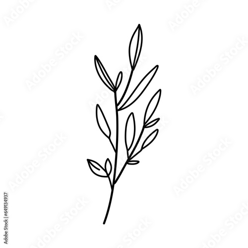 Vector branches and leaves. Hand drawn floral elements. 