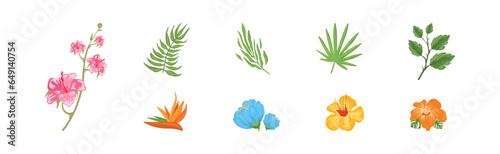 Tropical Flora with Leaf and Flower Vector Set