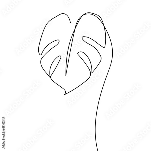 Monstera leaf line art. One line art