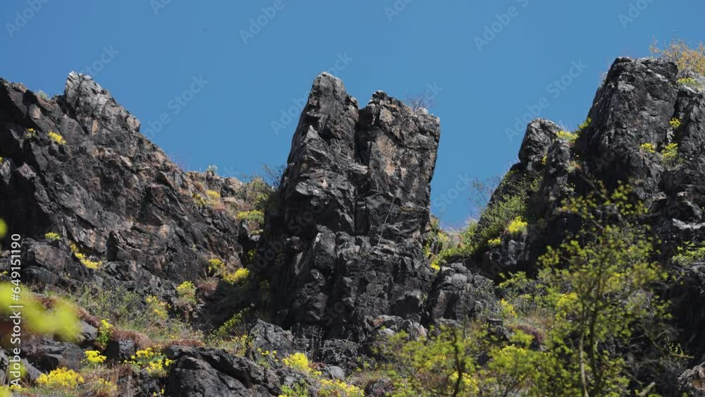 Dark withered rocks covered with lush spring vegetation. Slow-motion parallax shot.