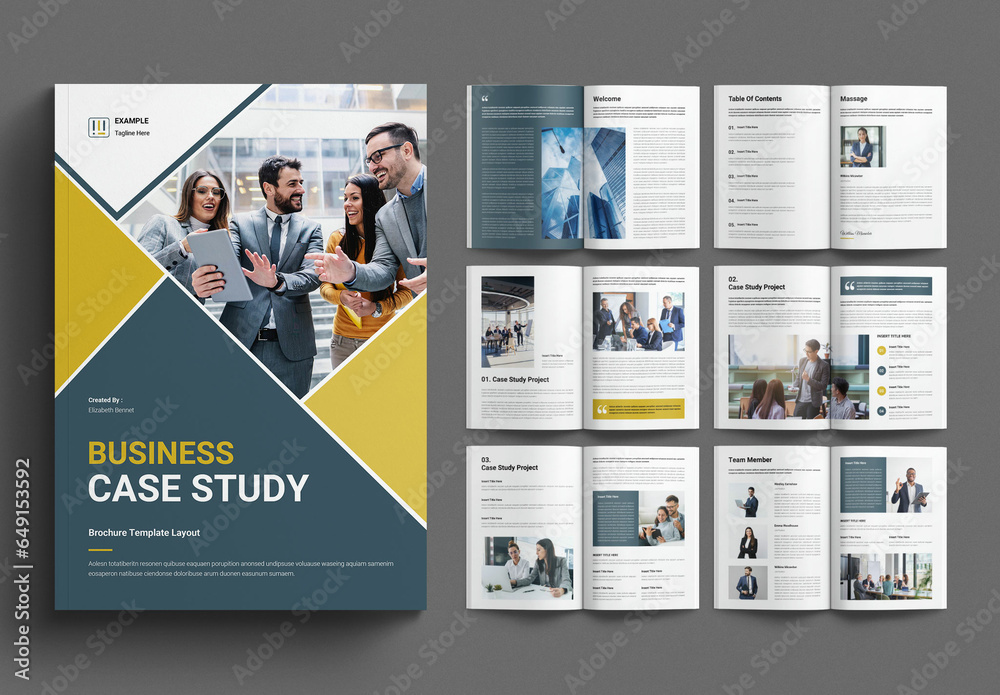 Business Case Study Layout Design Template Stock Template | Adobe Stock