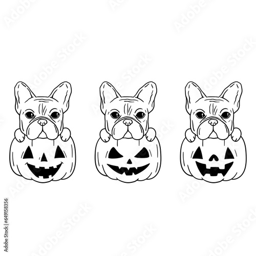 Pumpkin Dog. Happy Halloween French bulldog. Love dogs. Fall, autumn, Thanksgiving, Halloween element for design. Isolated on white background.Good for posters, t shirts, postcards.