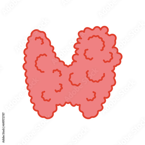 Enlarged thyroid gland lobes icon. Thyroid hormones function imbalance. Endocrine system disease. Hyperthyroidism and hypothyroidism. Over and underactive organ. Isolated linear vector illustration.