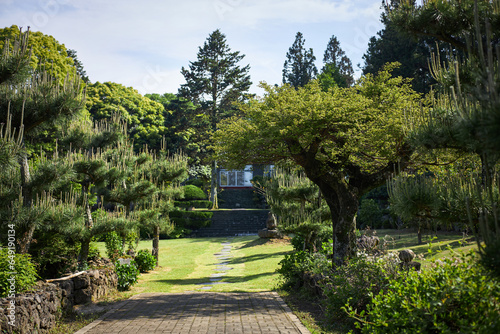 path in the garden