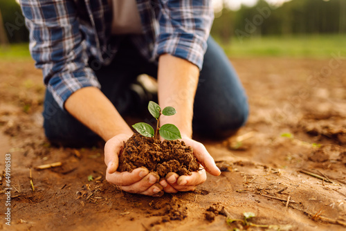 Close-up of a farmer's hands holding a young plant with soil. Gardening concept, agriculture.