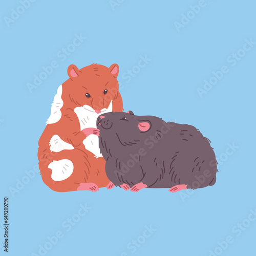 Cute colorful hamsters together flat style, vector illustration