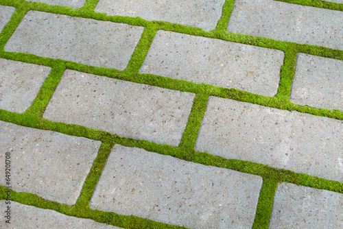 Paving slabs overgrown with bright green moss. Paved gray path with moss landscaping between the tiles. Texture of concrete rectangular tiles of a garden path. Top view. Background close-up.