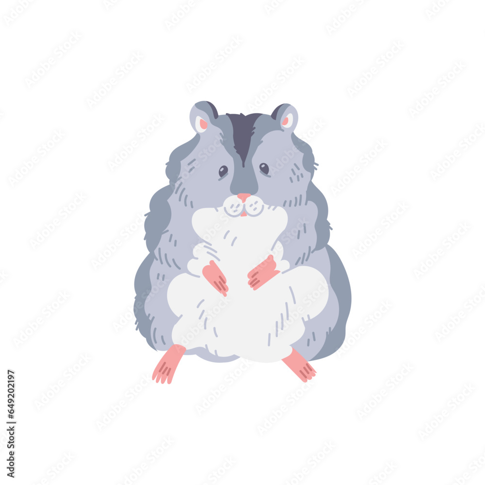 Cute gray hamster with white belly looks with curiosity, fluffy pet vector cartoon illustration, small home animal Cute gray hamster with white belly looks with curiosity, fluffy pet vector cartoon illustration, small home animal