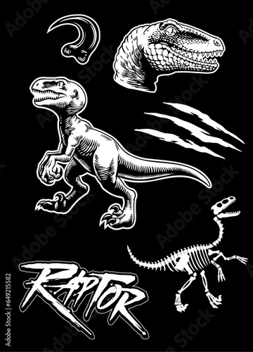 Graphic Collection of Raptors Isolated Vector Illustration