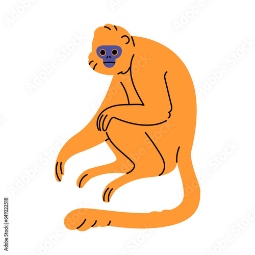 Wild jungle animal. Gibbon with cute muzzle sitting, orange primate rest. Tropical forest habitant rainforest monkey, mammal with long tail. Flat isolated vector illustration on white background