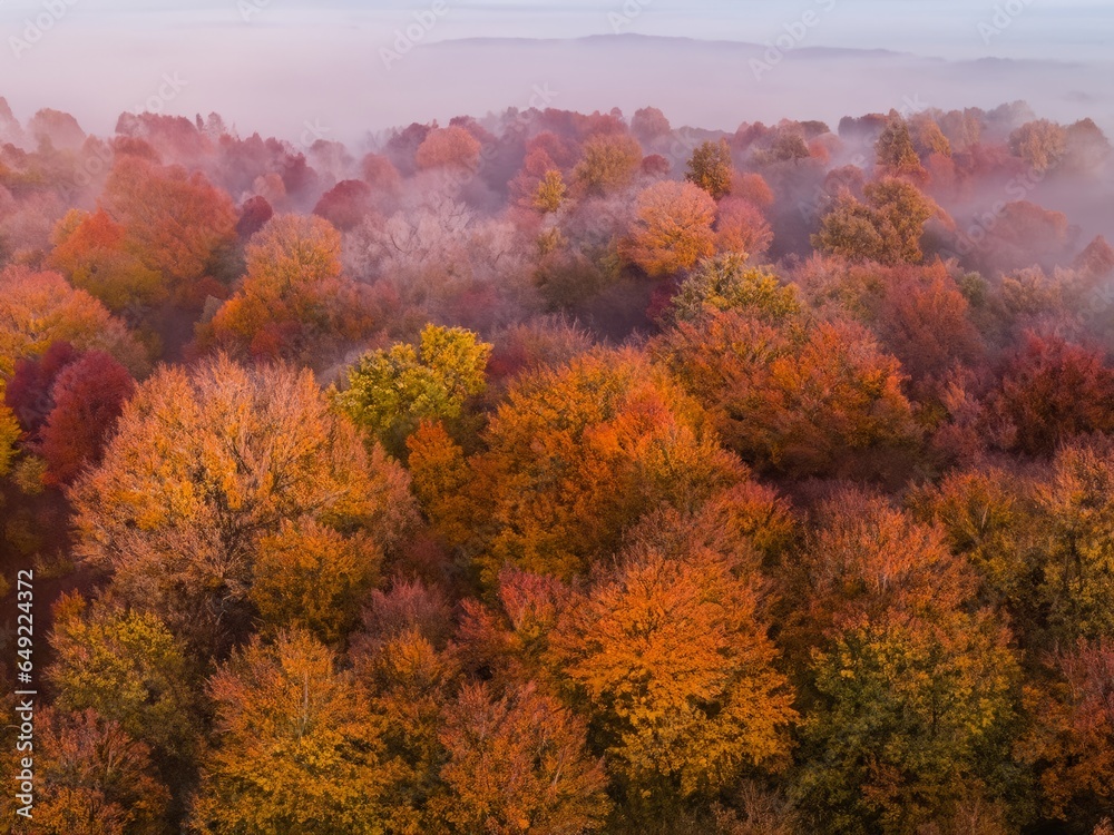 Fototapeta premium autumn landscape with fog
