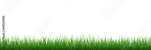 Green grass repeat texture. Vector