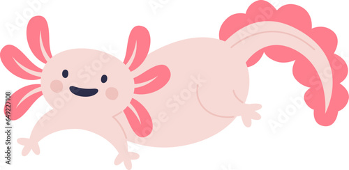 Axolotl Funny Amphibian