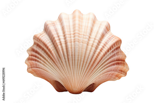 A seashell, transparent background, isolated image, generative AI 