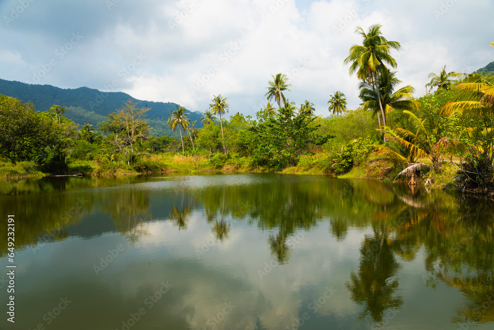 Landscape of marshes, lagoons and palm trees on the island of Koh Chang, in the Gulf of Thailand, Trat province, Southeast Asia.