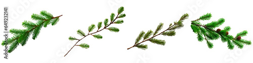 Spruce branch on a white background, the concept of Christmas and New Year