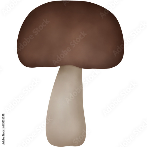 Autumn Mushroom Watercolor. Autumn Elements.