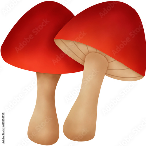 Autumn Mushroom Watercolor. Autumn Elements.