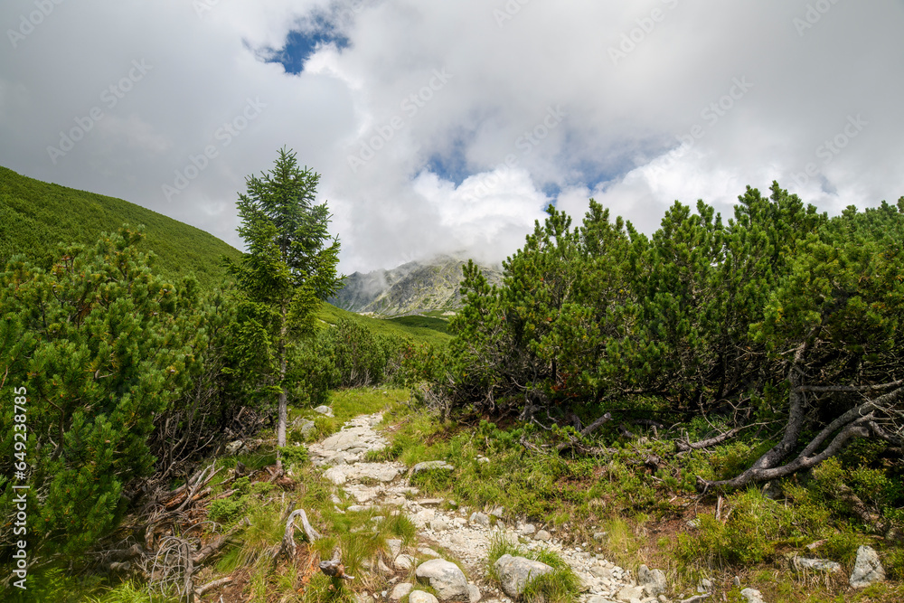 Obraz premium Mountain landscape in the Tatras on a sunny day