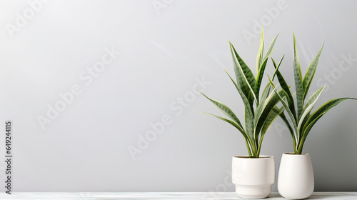 Wallpaper with Plants  empty copy space mockup