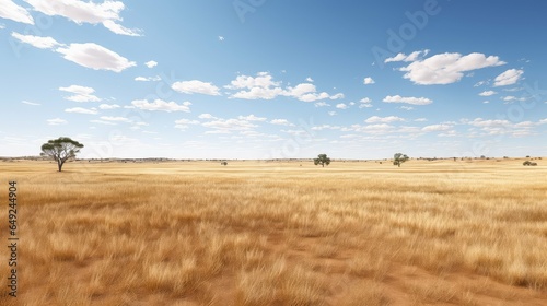 travel australian grasslands wide illustration blue outback, nature wood, grass landscape travel australian grasslands wide