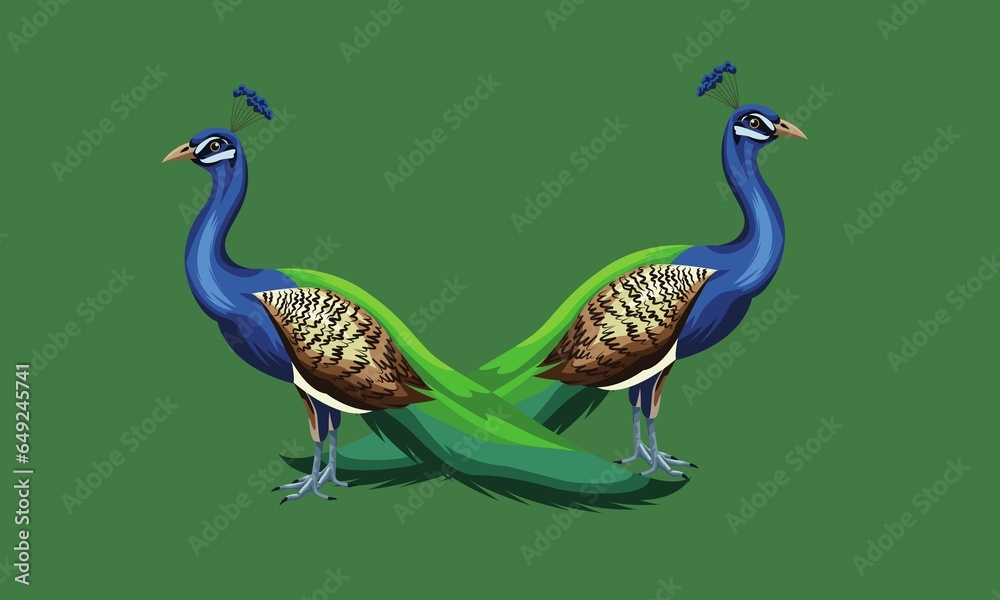 Fototapeta premium Beautiful peacock. Cartoon bird with ornamental feathers, character of nature with decorative elegant plumage, vector illustration of exotic animal isolated