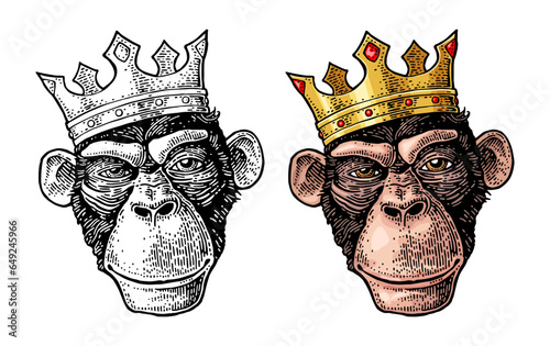 Monkey king head with crow. Vintage color and black engraving illustration