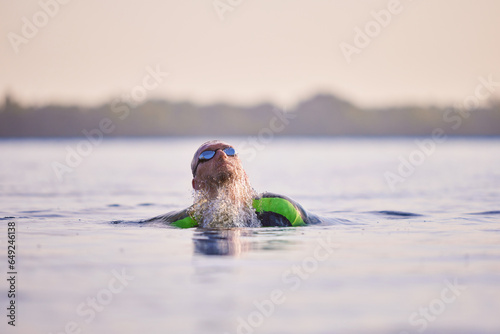 Mature man in wetsuit, sportsman, triathlon in wetsuit training outdoors, swimming into river. Concept of professional sport, triathlon preparation, competition, athleticism photo